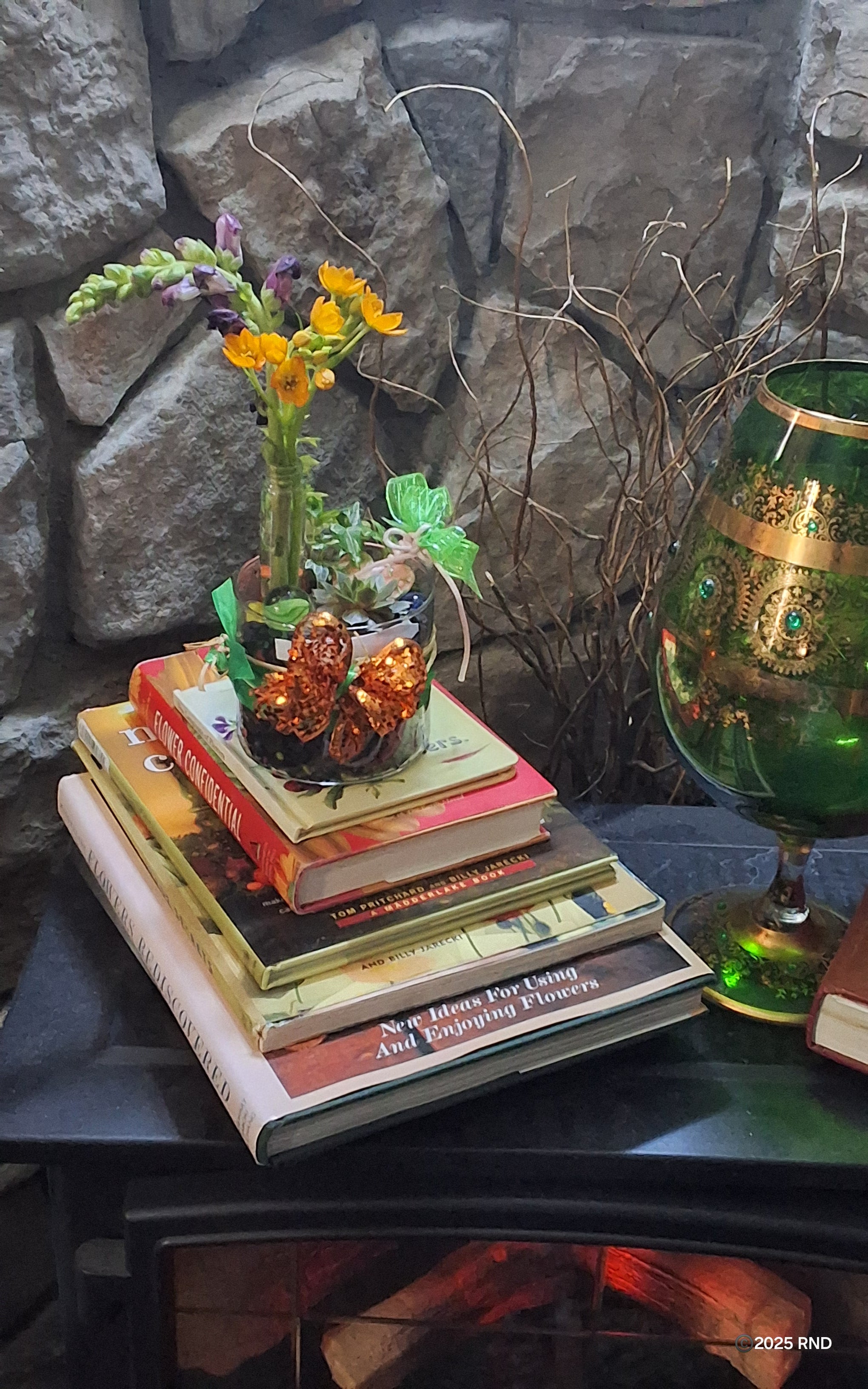 Vintage Sempervivum Cocktail Garden