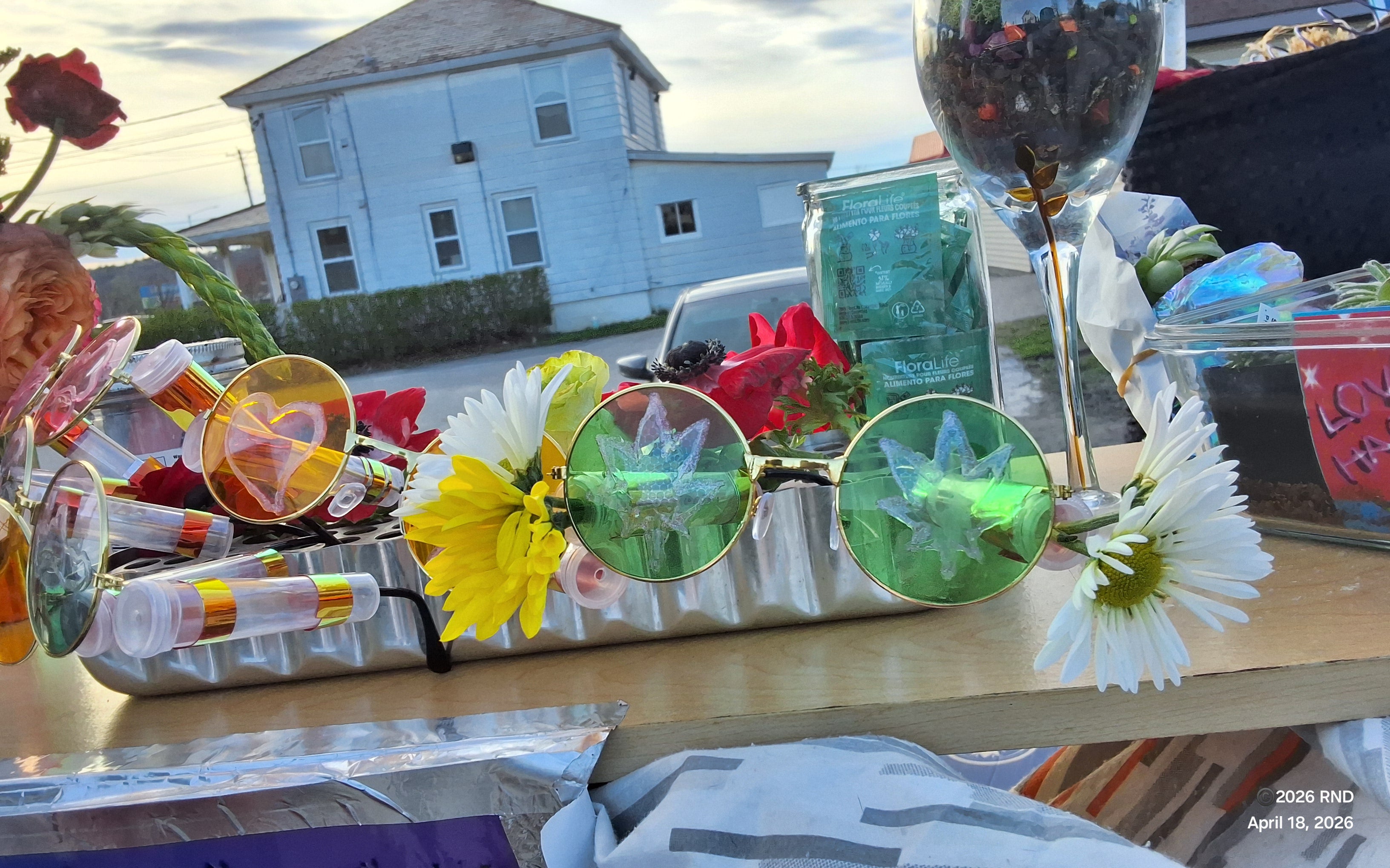 SECTOR1VT ROSY DAISY STEAMPUNK/HIPPY SHADES!