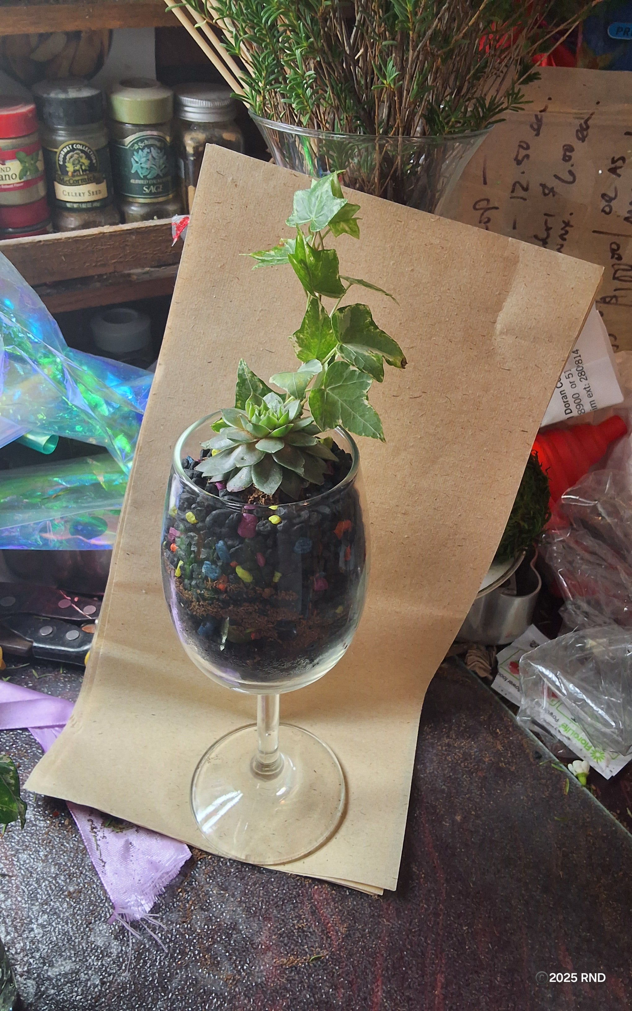 Vintage Sempervivum Cocktail Garden