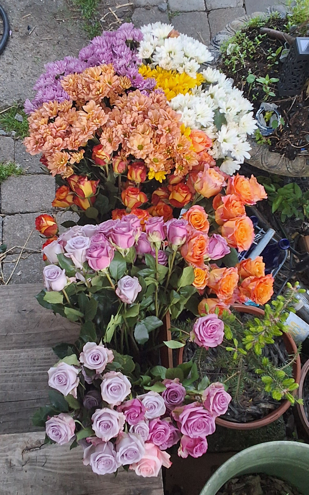 Farmer's Market Special